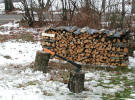 firewood cut and stacked